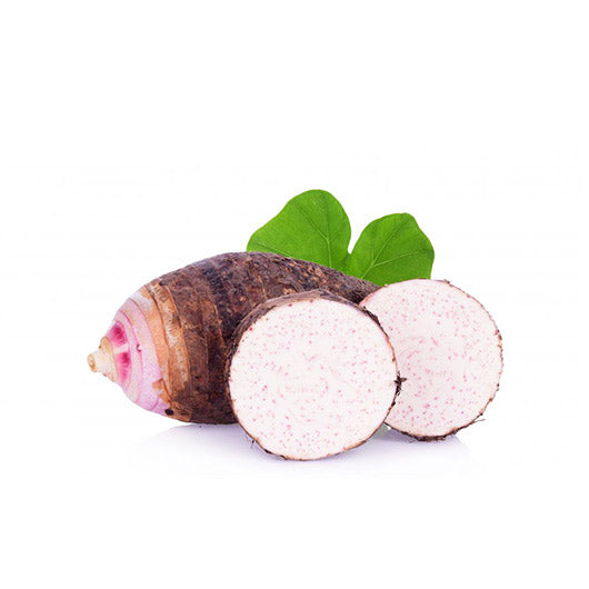 មើមត្រាវ