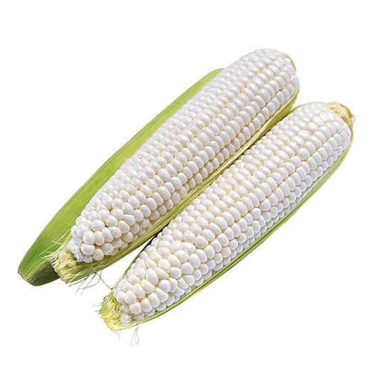 ផ្លែពោតខ្ចី សាច់ស