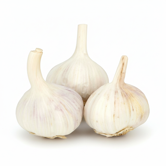 ខ្ទឹមសមូល