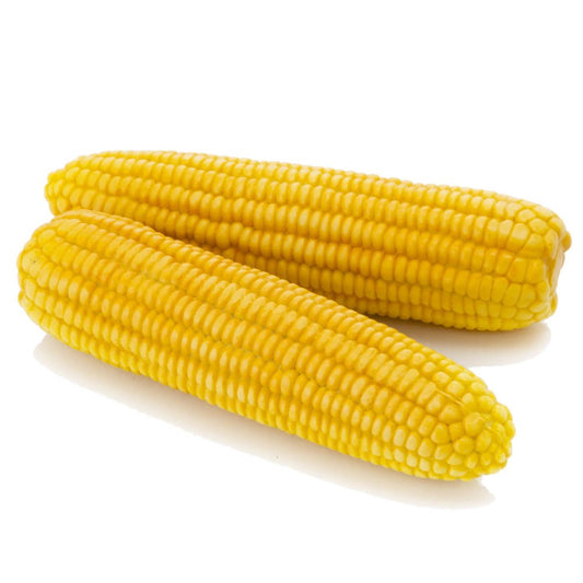 ផ្លែពោតខ្ចី សាច់លឿង